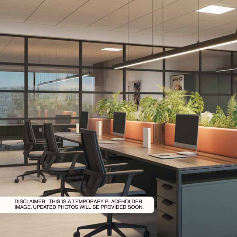 Traditional Office – Unit 16 D – 14th Floor – BDO Life Mega Plaza (formerly Petron Megaplaza)