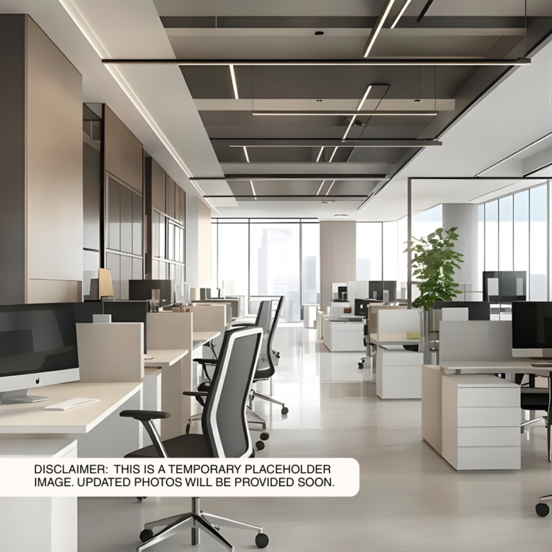 Traditional Office – Ayala Side – 5th Floor – 6780 Ayala Avenue