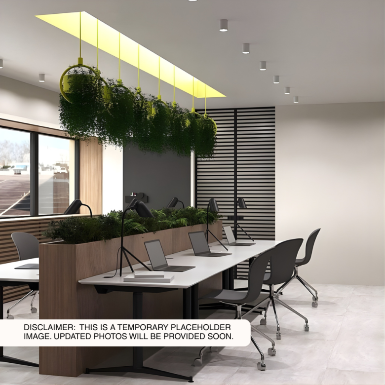 Traditional Office – Whole Floor – Basement – 6780 Ayala Avenue