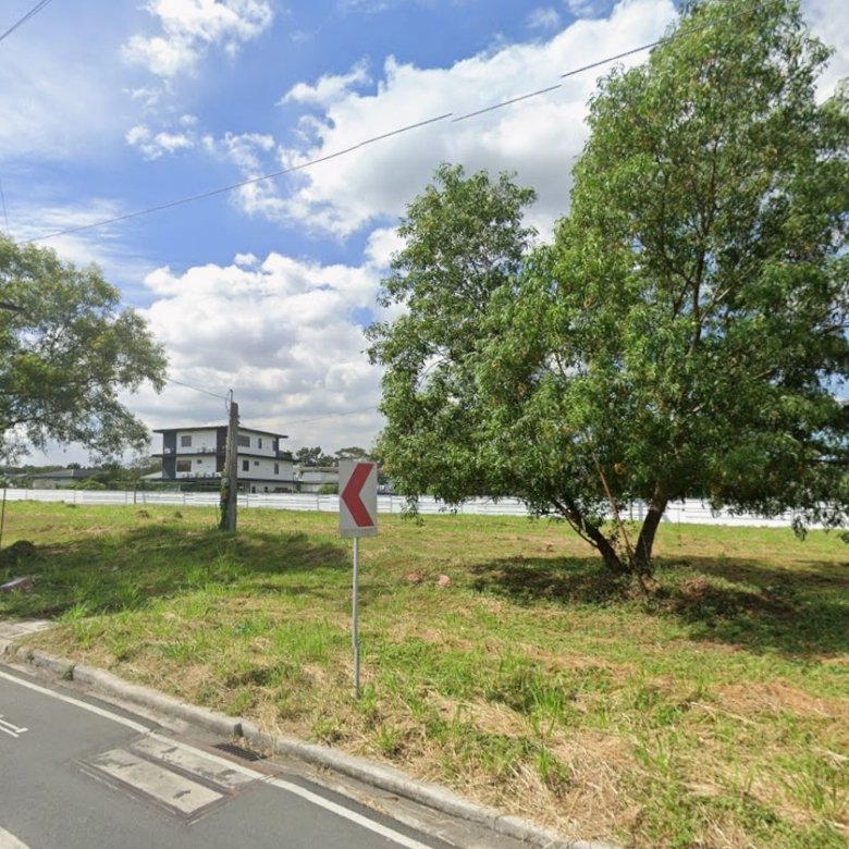 Roadside scene with a red chevron turn sign, a large tree, utility pole, and a grassy area under a blue sky with clouds.