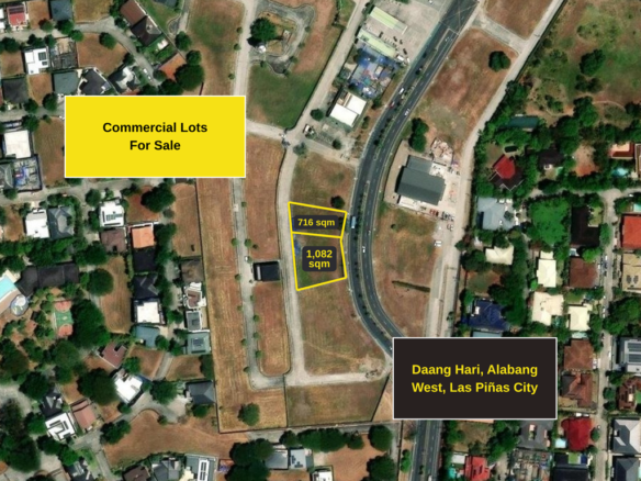 Commercial Land – Daang Hari Road