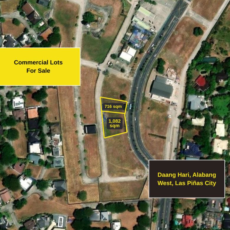 Commercial Land – Daang Hari Road