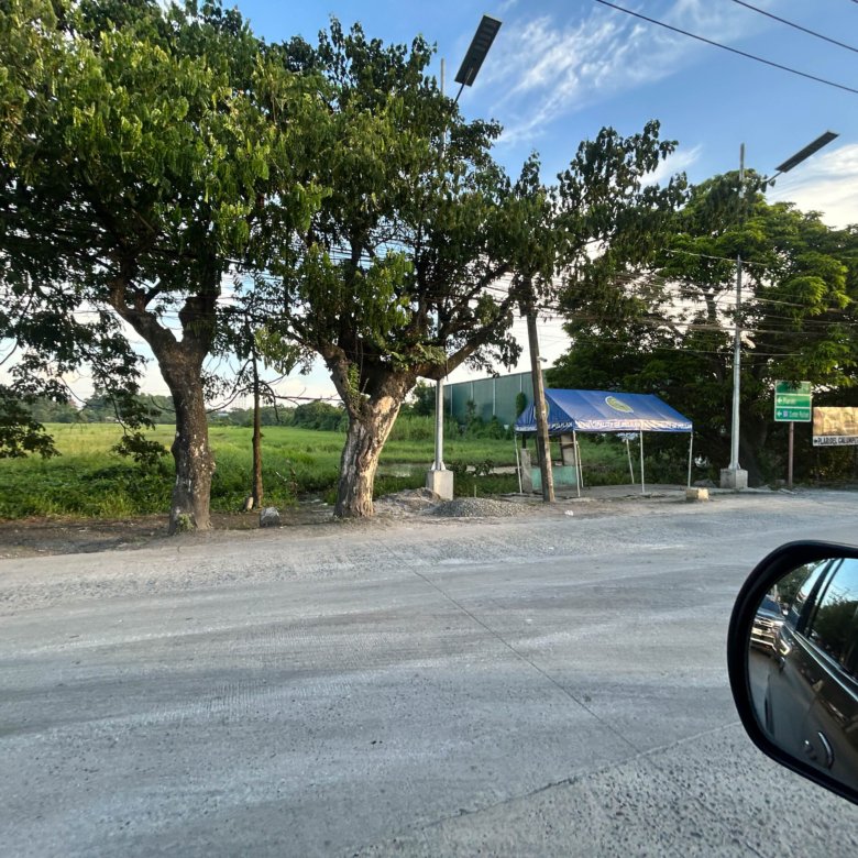 Trees along a roadside with power lines and a blue canopy tent, viewed from a car passenger window.