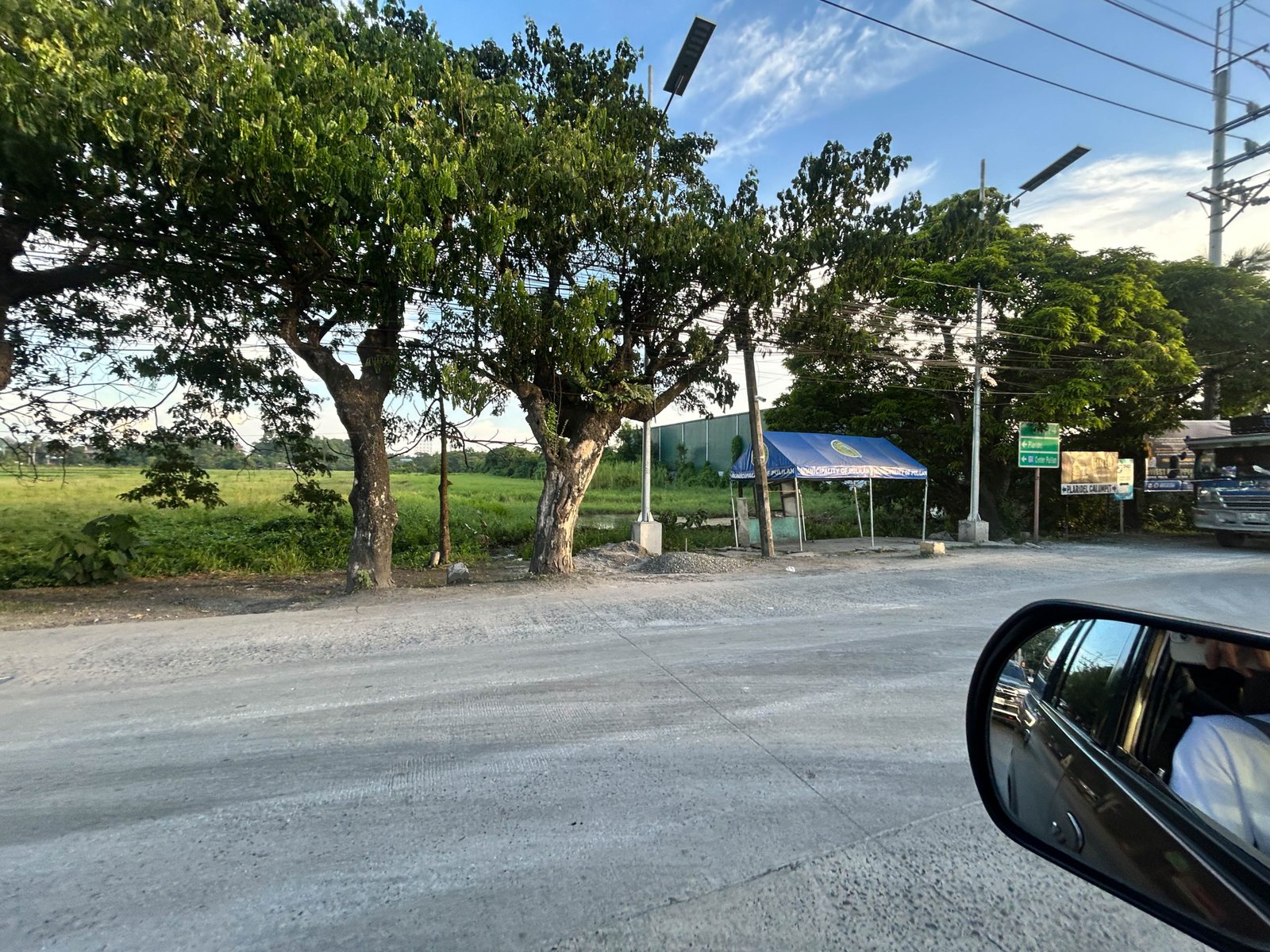 Trees along a roadside with power lines and a blue canopy tent, viewed from a car passenger window.