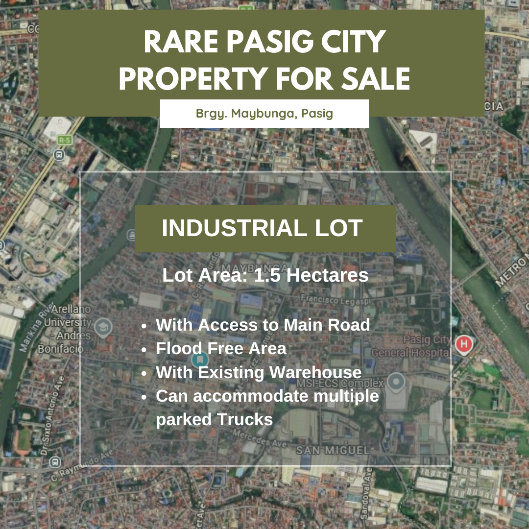 Poster over a city map advertising a rare Pasig City industrial lot for sale: 1.5 hectares with road access and warehouse capacity.