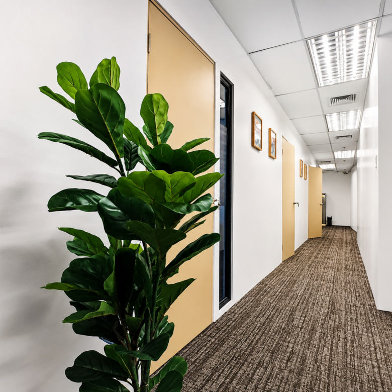 Office hallway with a tall leafy plant in the foreground, beige doors along the right wall, framed artwork, and overhead fluorescent lights.”,