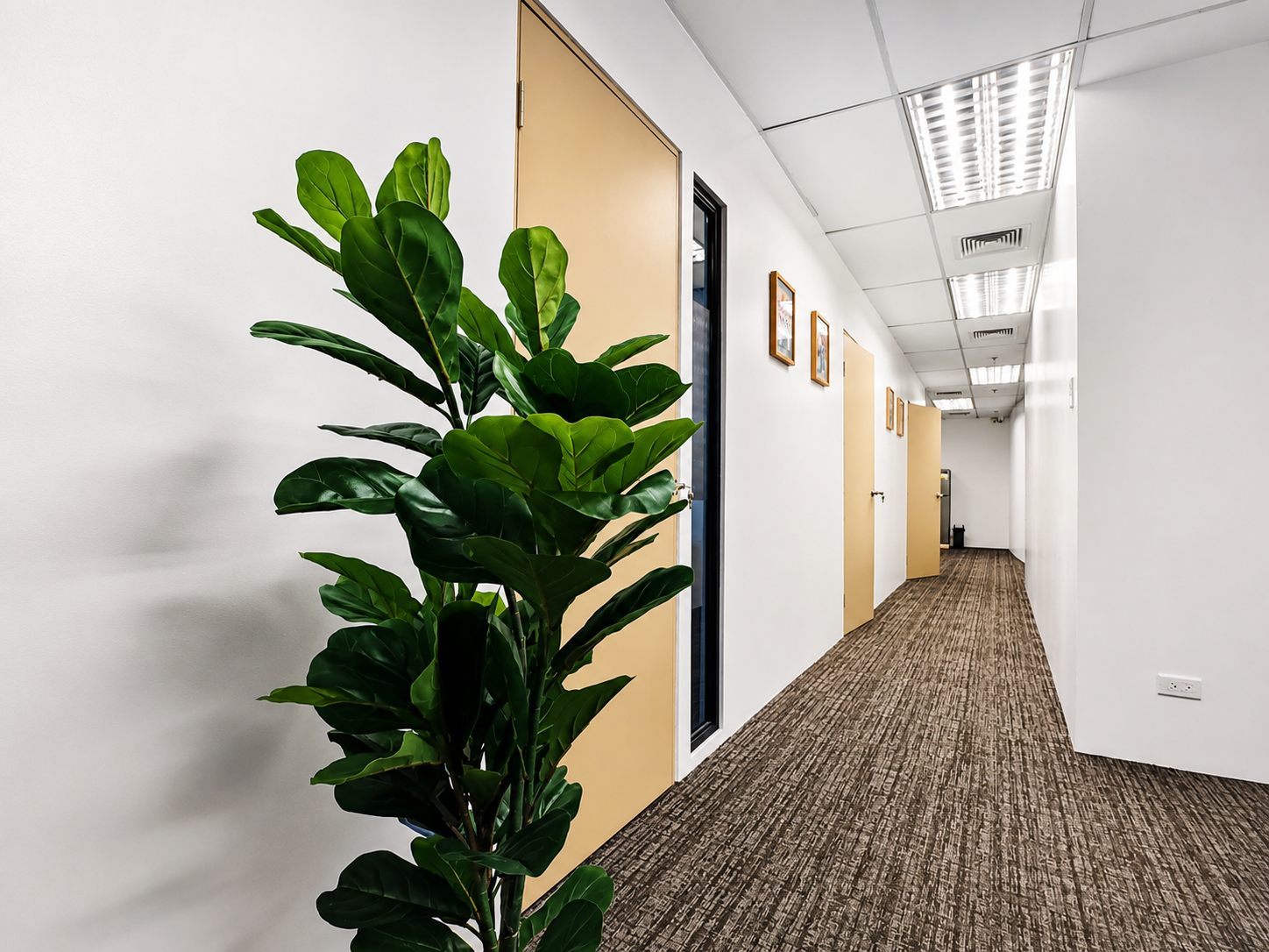 Hallway Office hallway with a tall leafy plant in the foreground, beige doors along the right wall, framed artwork, and overhead fluorescent lights.”,