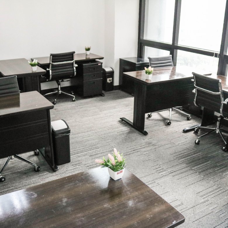 Open-plan office with dark wood desks, black ergonomic chairs, and small potted plants on each desk by large windows.