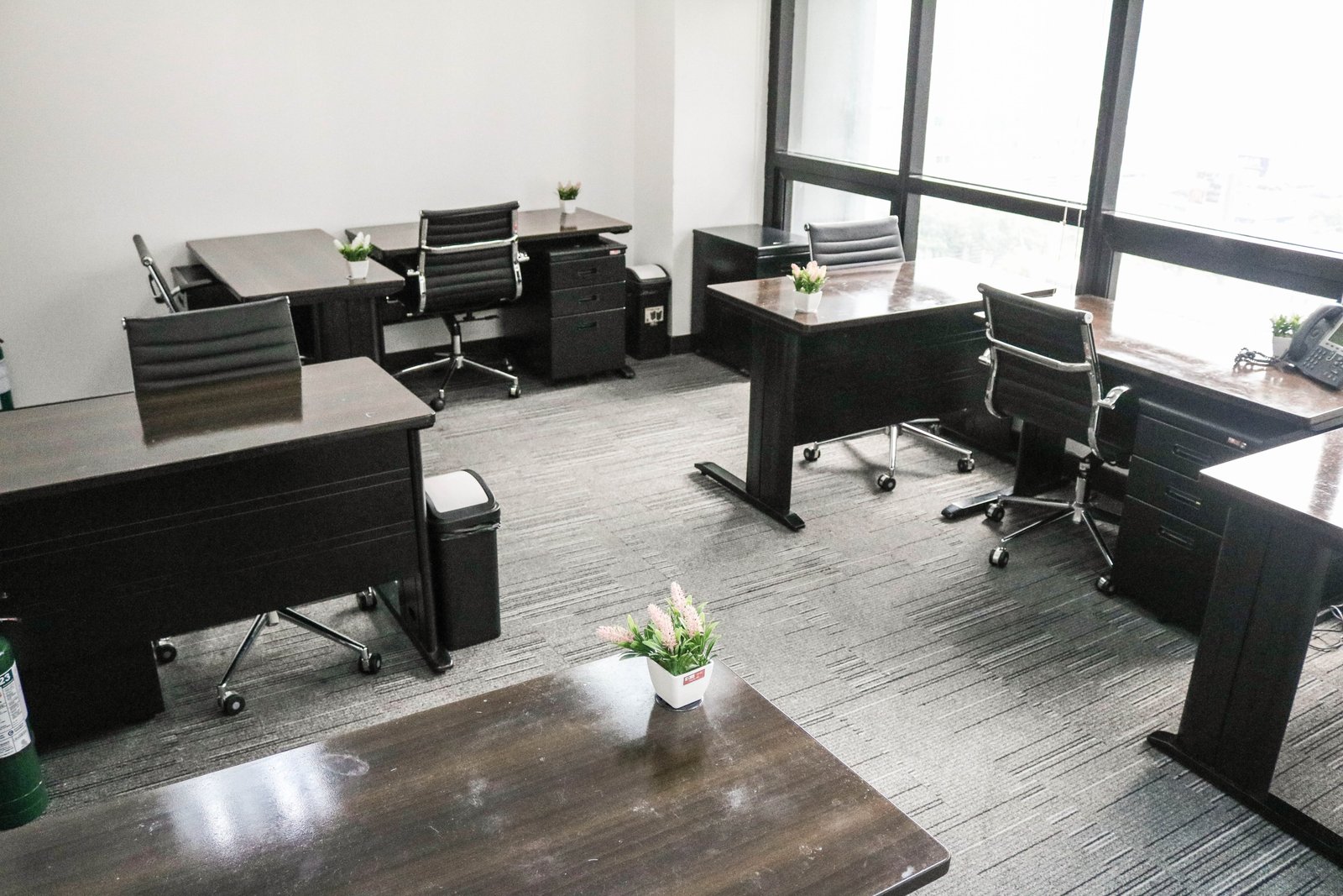 Open-plan office with dark wood desks, black ergonomic chairs, and small potted plants on each desk by large windows.