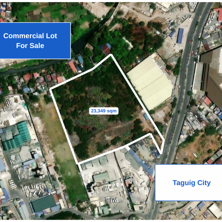 Commercial Land – Cayetano Boulevard